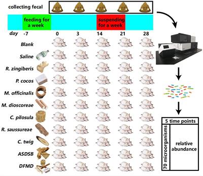 The impact of Traditional Chinese Medicine on mouse gut microbiota abundances and interactions based on Granger causality and pathway analysis